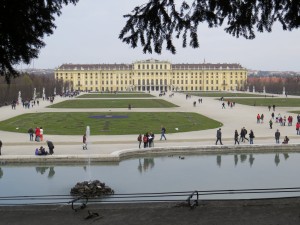 IMG 1390