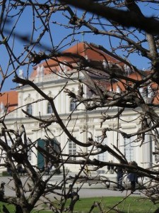 IMG 1418 (1)
