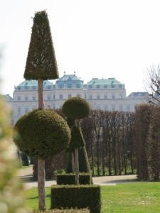 IMG 1425 (1)