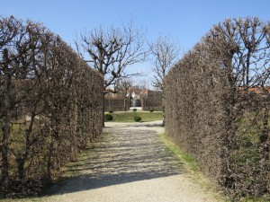 IMG 1436 (1)