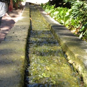 IMG 1983 (1)