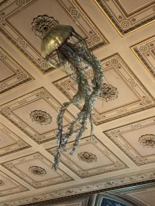IMG 3276
