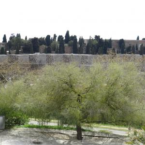 IMG 3904 (1)