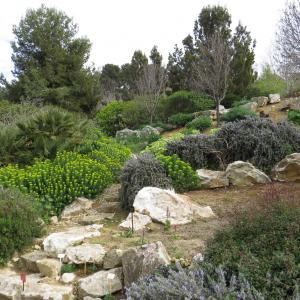 IMG 3916 (1)