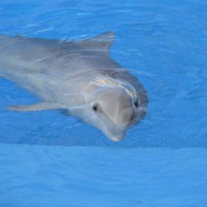 IMG 4044 (1)