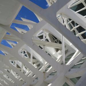 IMG 4056