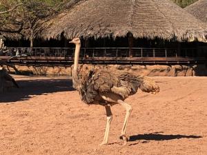 IMG 4249