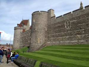 IMG 5961