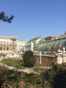 IMG 9533