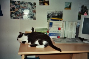 Rocky Schreibtisch
