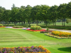 hc garden flowers