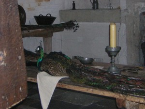 hc kitchen pfau